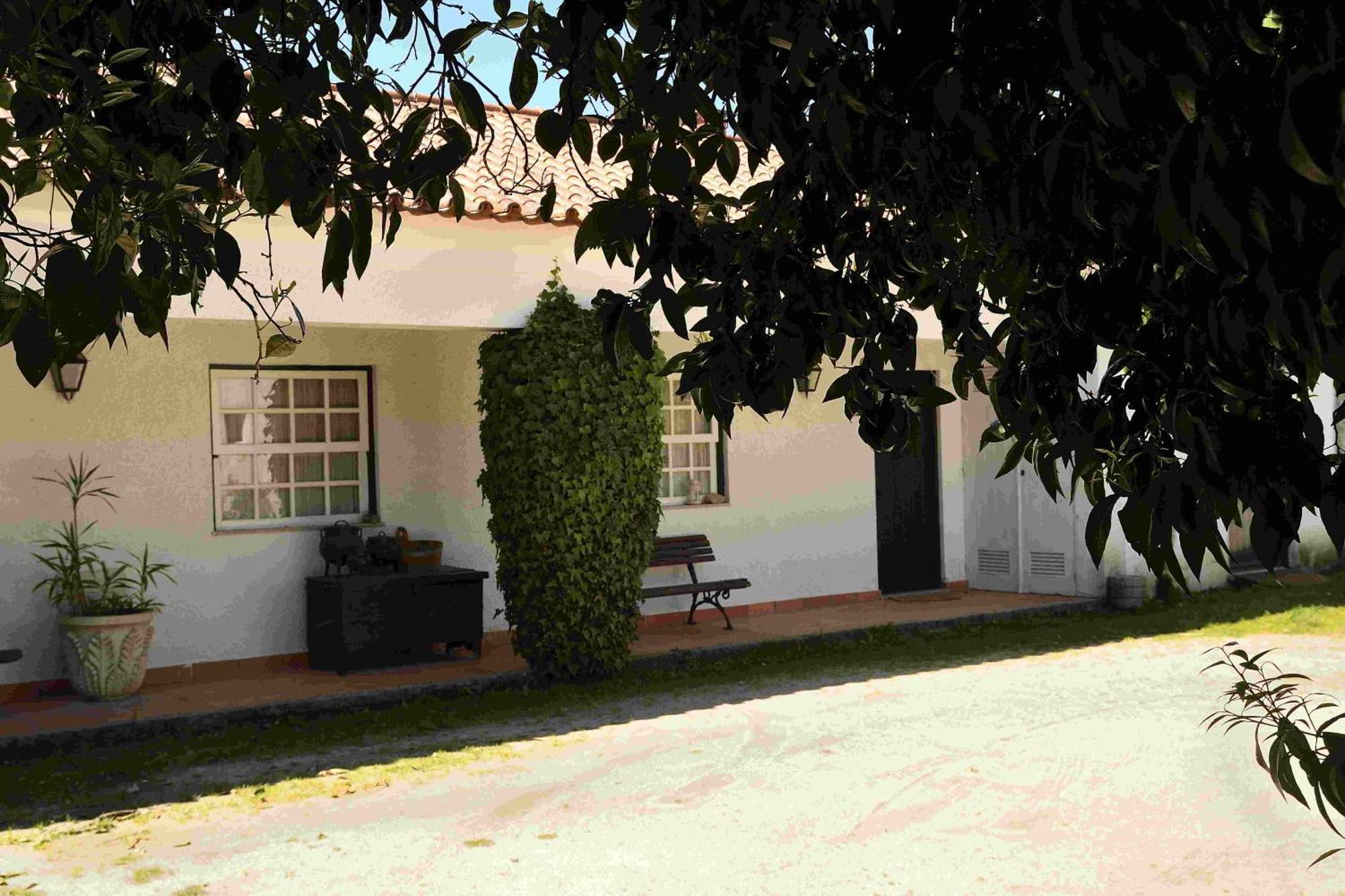 Quinta Da Fata Villa Nelas Bagian luar foto