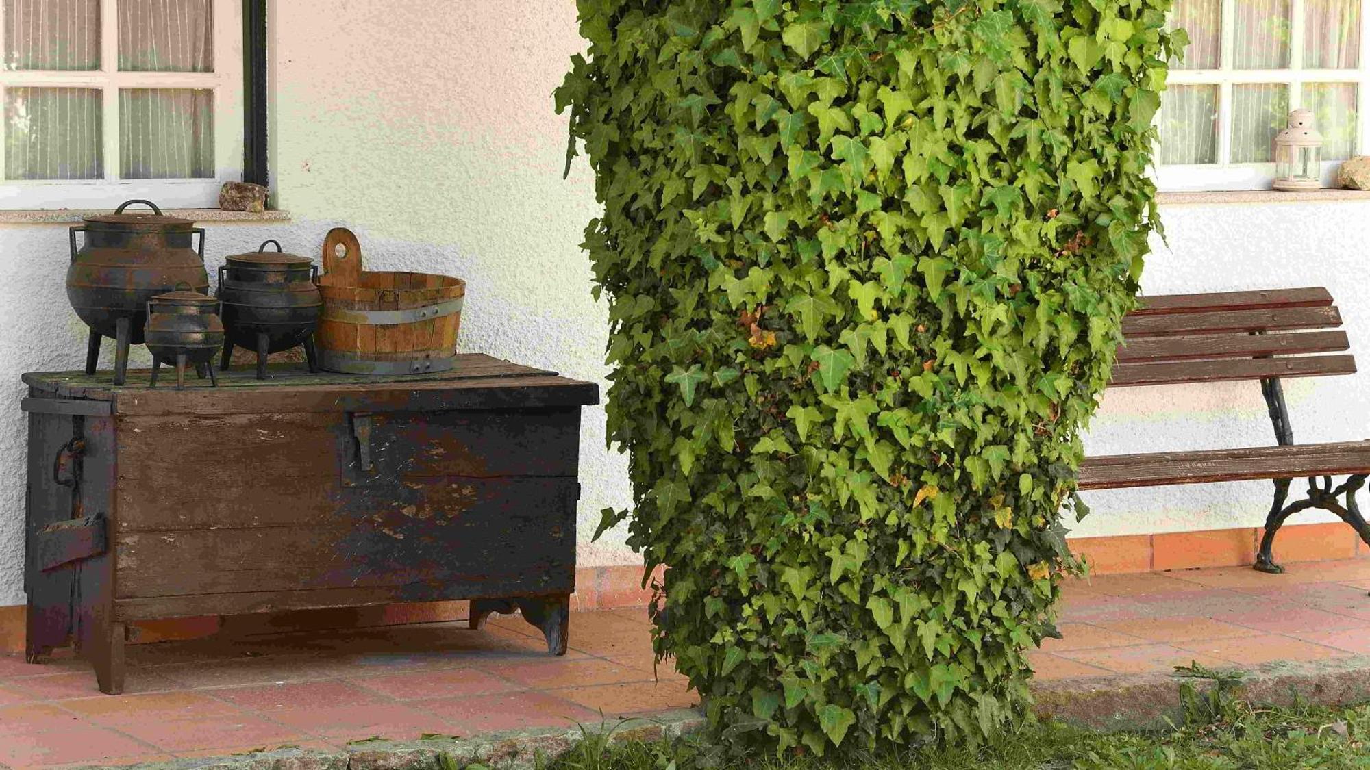 Quinta Da Fata Villa Nelas Bagian luar foto