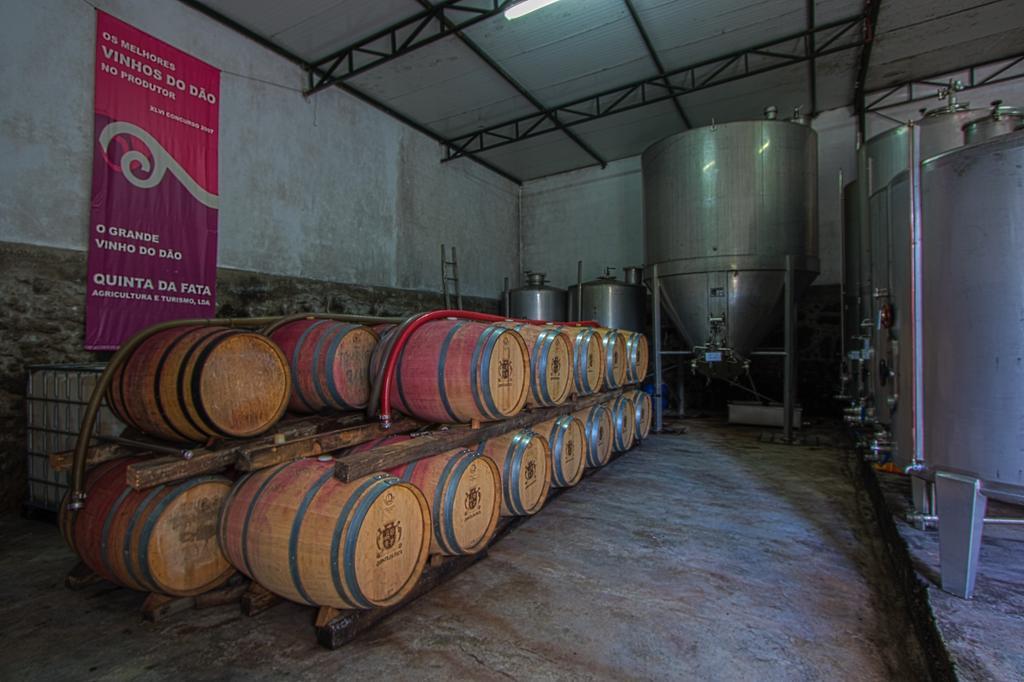Quinta Da Fata Villa Nelas Bagian luar foto