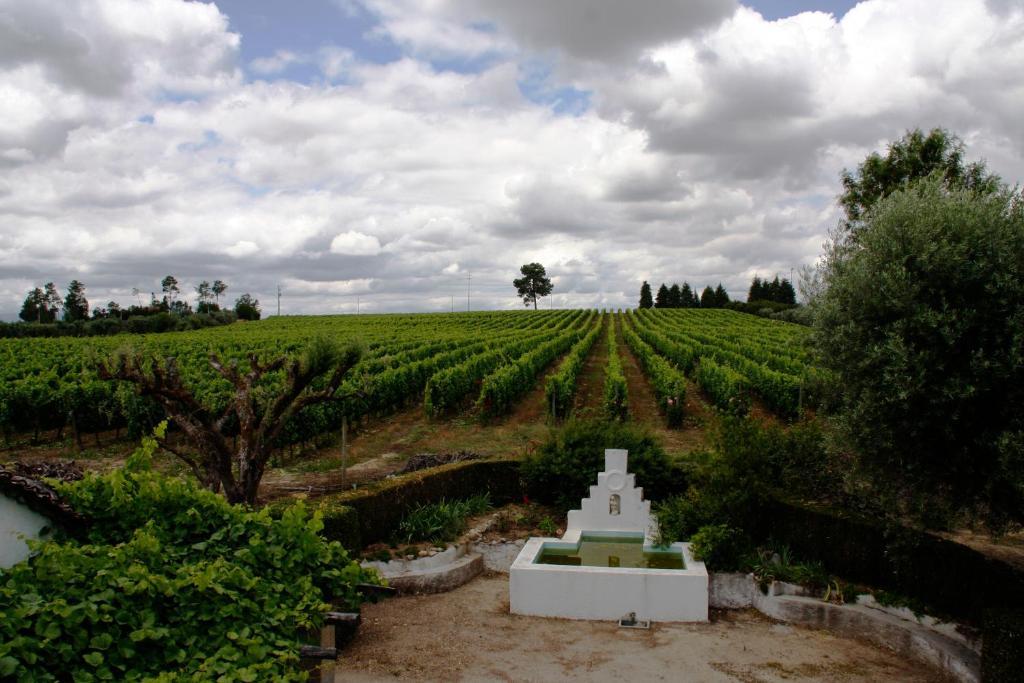 Quinta Da Fata Villa Nelas Bagian luar foto